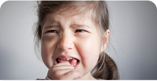 章鱼AI学习系统